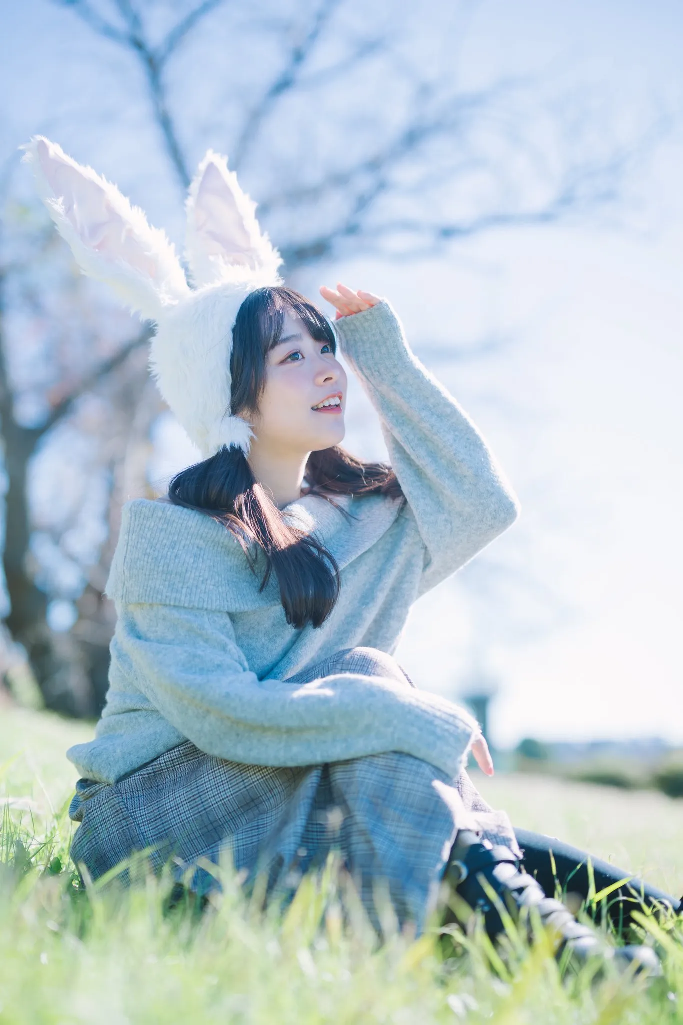 ニューステキスト