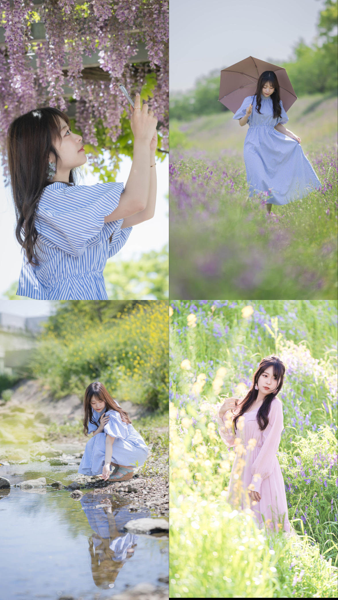 05/03浅香山ツツジ企画🌺