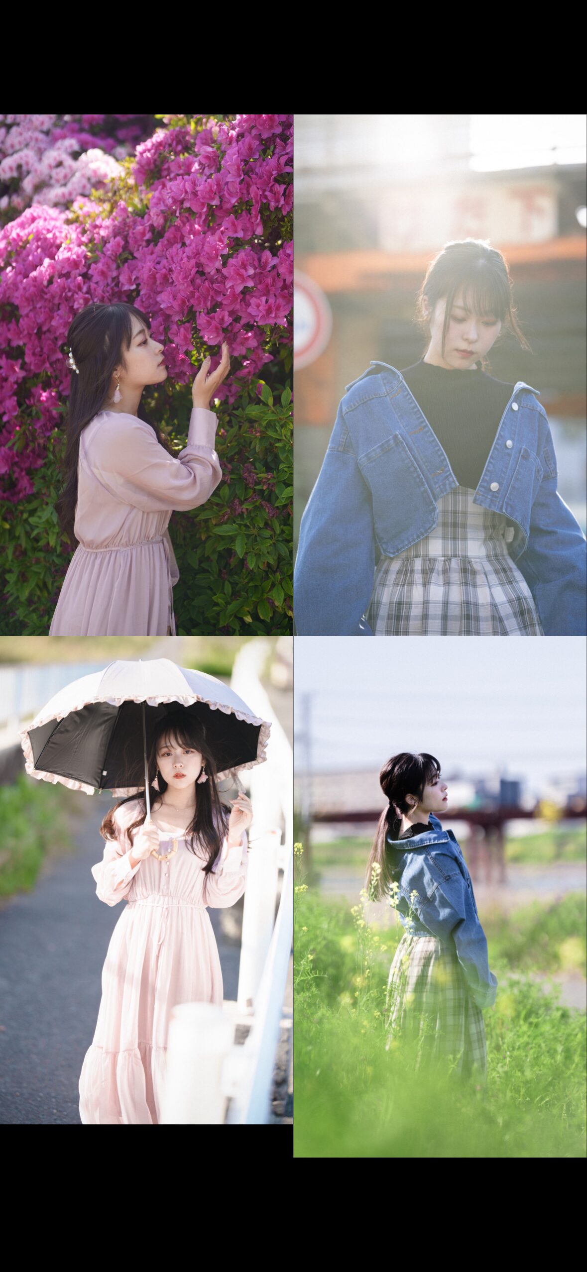 05/03浅香山ツツジ企画🌺