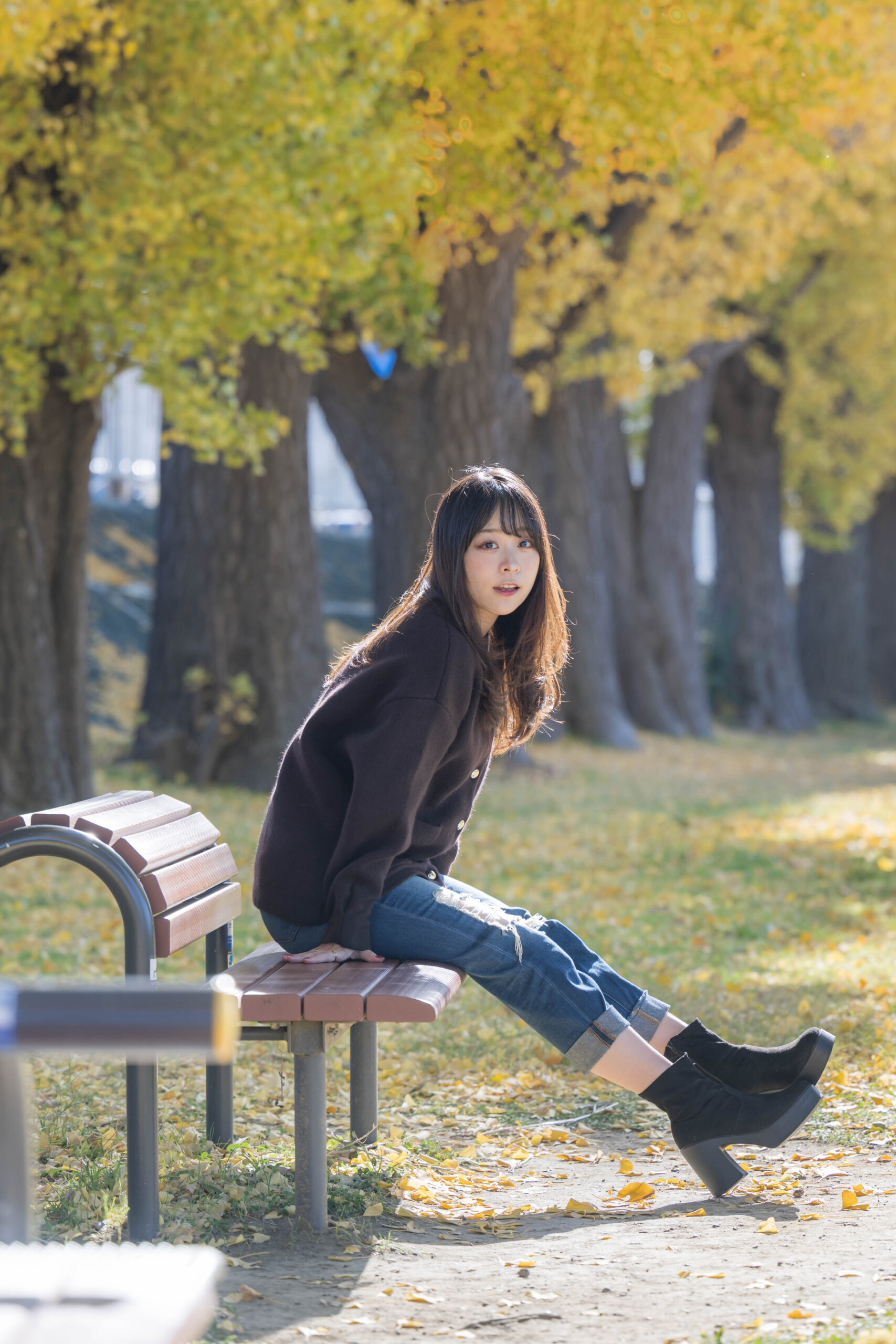 小さい秋みーつけた企画@昭和記念公園🍂